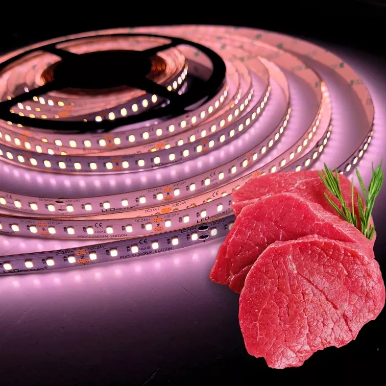 PROFI LED pásek 24V 120LED/m SMD2835 14W/m Osvětlení masa