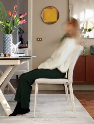 Jídelní židle Atlas, snímatelný potah, CB2333-S