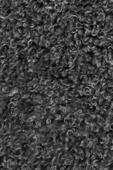 Polštář Wooly Grey, 45x45 cm, šedý