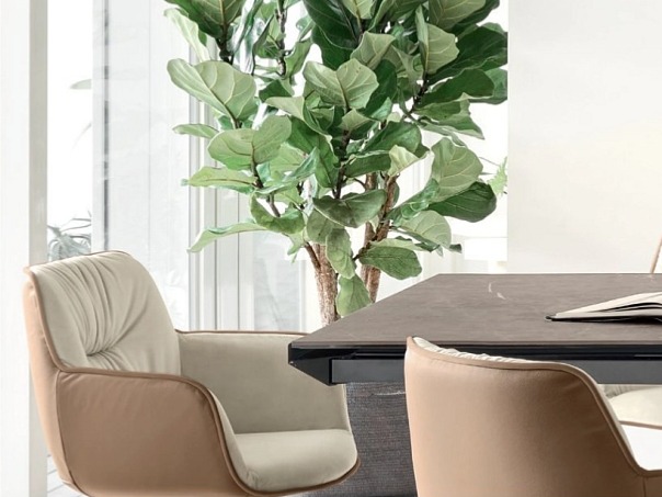 Židle s područkami Cocoon, dřevo, látka/kůže, CS2083-BI