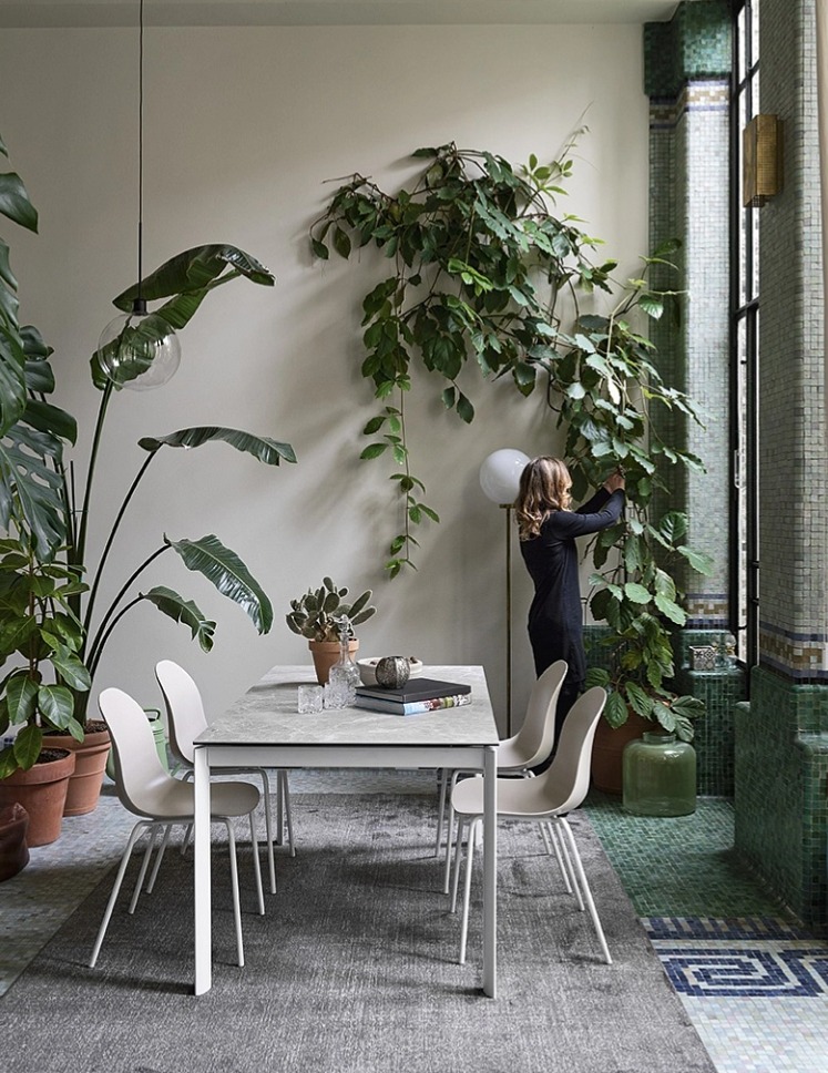 Jídelní židle Academy, kov, umělá kůže Vintage, CB1663-V