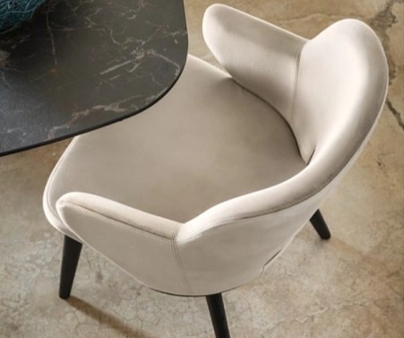 Židle s područkami Foyer, dřevo, variabilní potah, CS2000-MTO