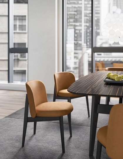 Elegantní židle Abrey, dřevo, umělá kůže, CS2040-S