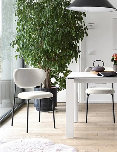 Jídelní židle Cozy, kov, látka, umělá kůže, CB2135