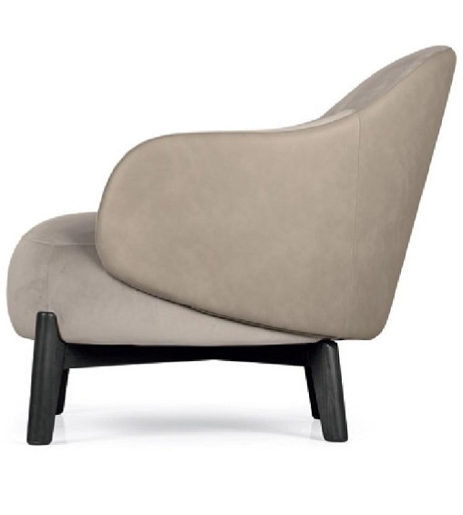 Křeslo Holly Fab, látka, kůže, CS3463-DTP1000 MTO