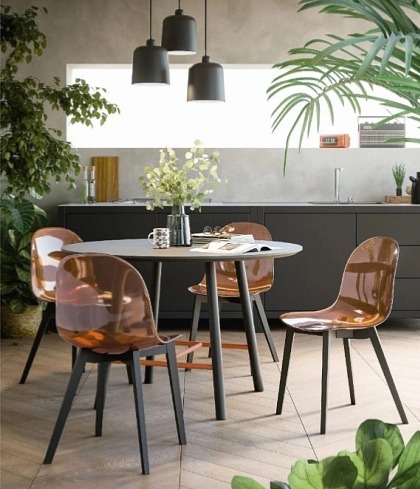 Jídelní židle Academy, dřevo, transparentní skořepina, CB2159