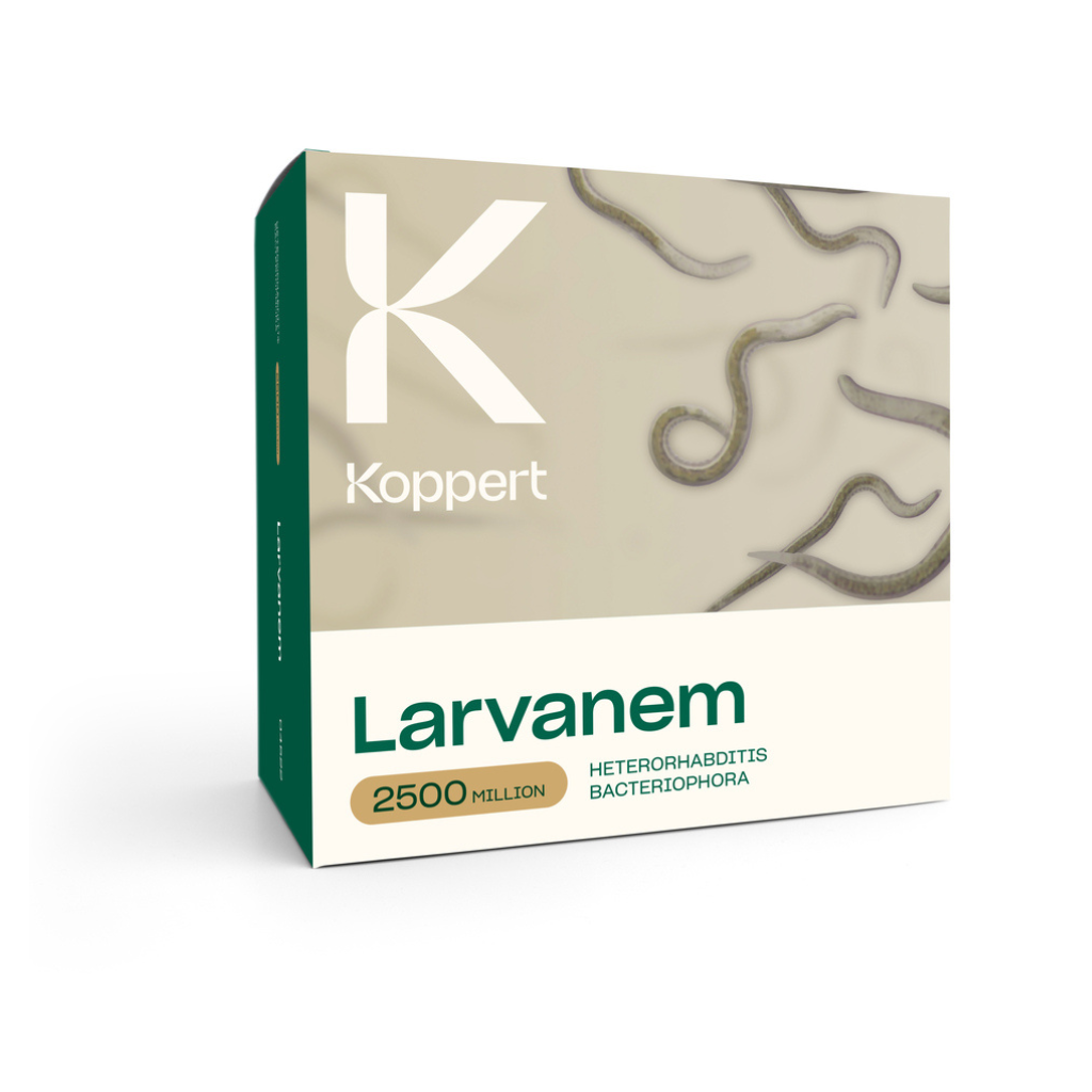 Larvanem