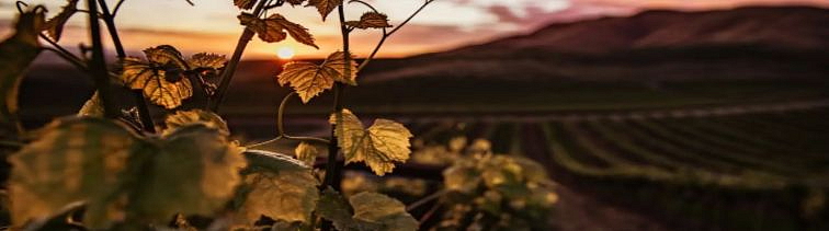 Signalizácia: 27. týždeň
