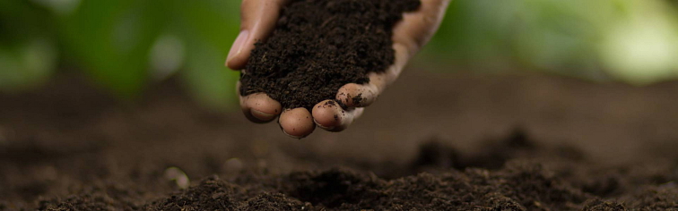 Zdravá pôda