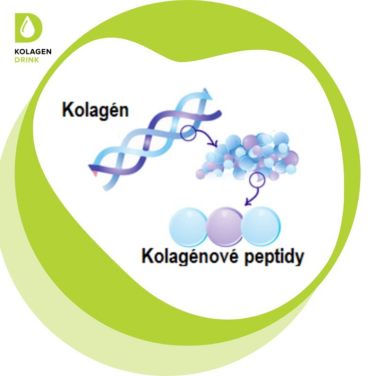 Kolagén: Tajomstvo dokonalej pokožky alebo len marketing?