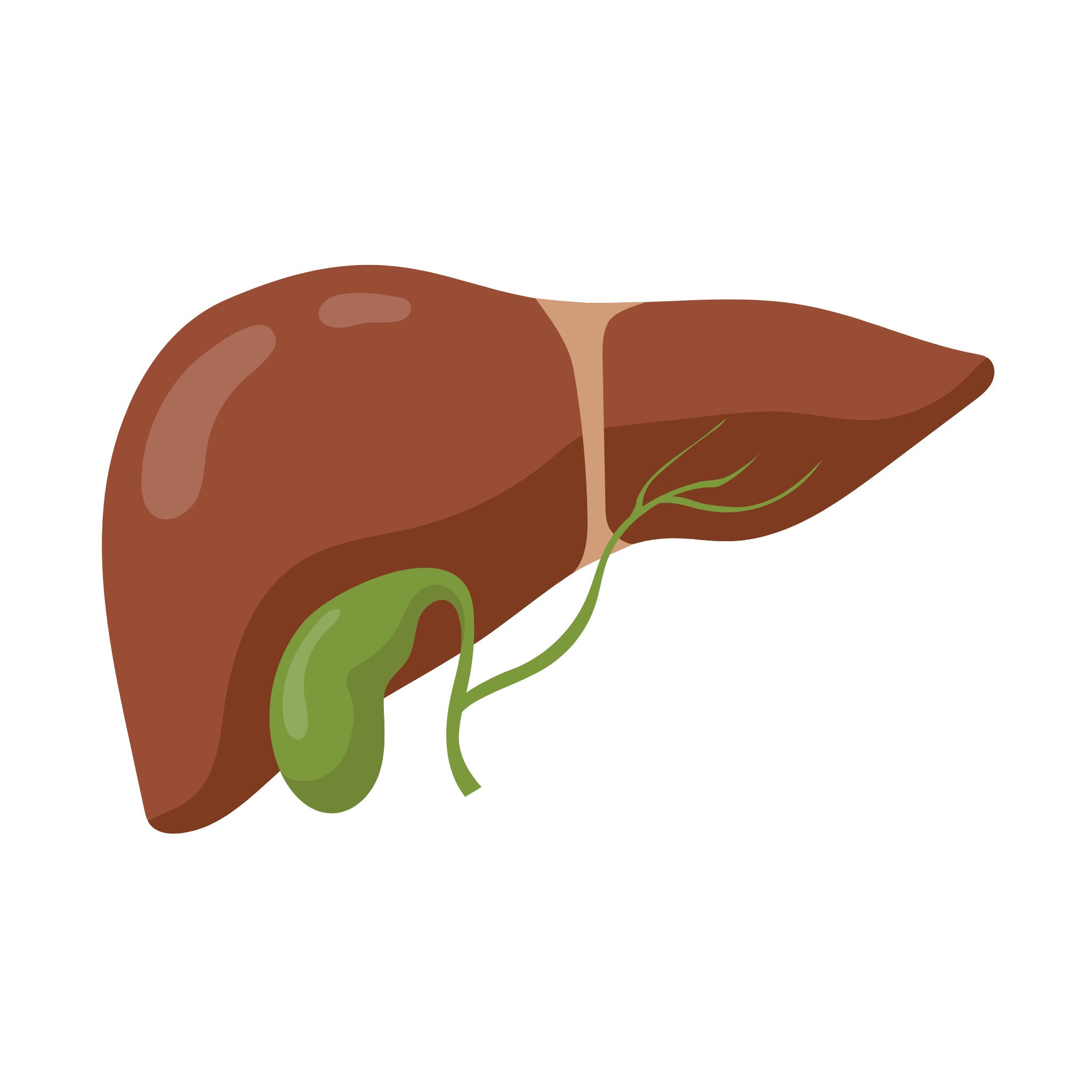 Tinktura na Játra 50ml
