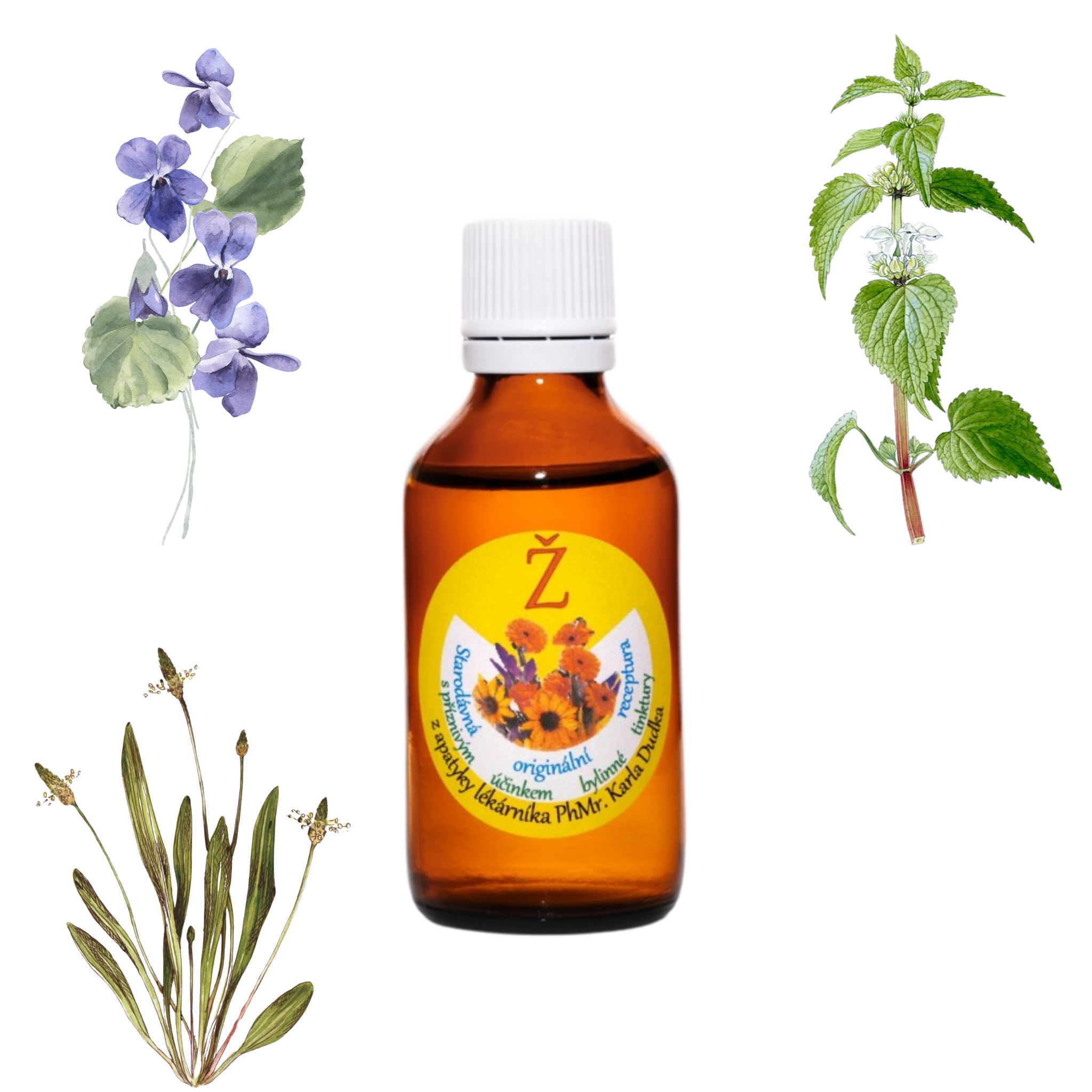 Tinktura na ženské a hormonální problémy 50ml