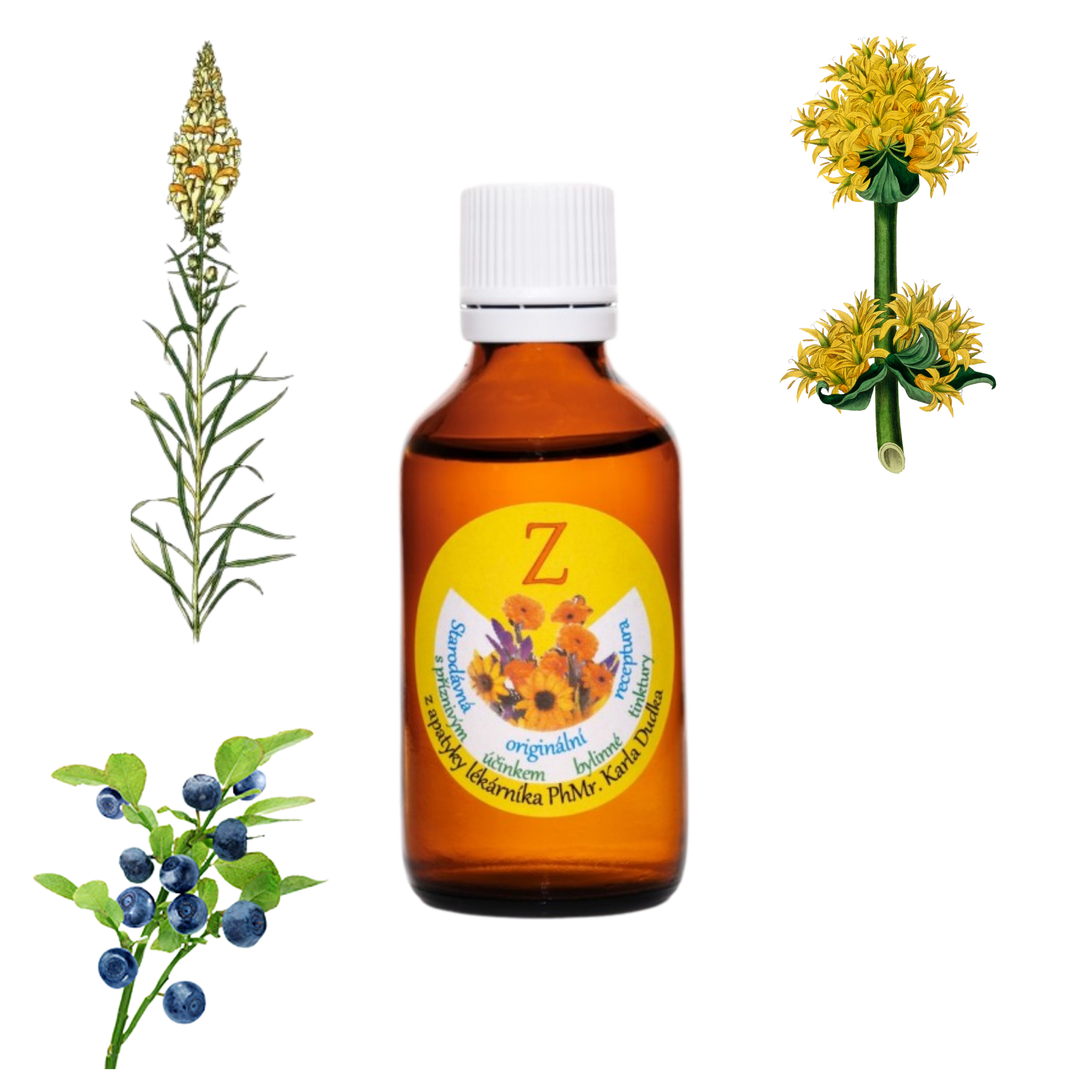 Tinktura na záněty a rekonvalescenci 50ml