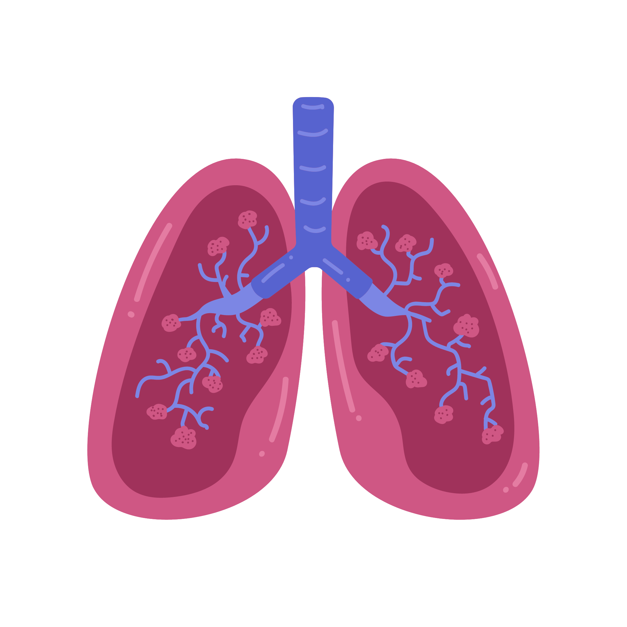 Tinktura na Plíce 50ml
