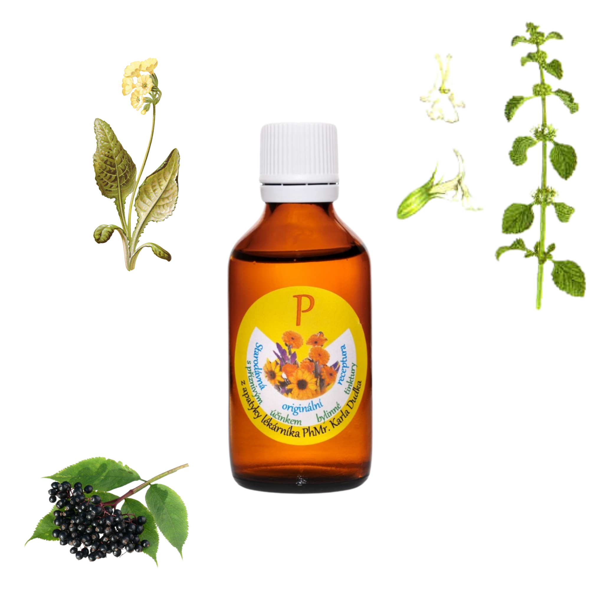 Tinktura na Plíce 50ml