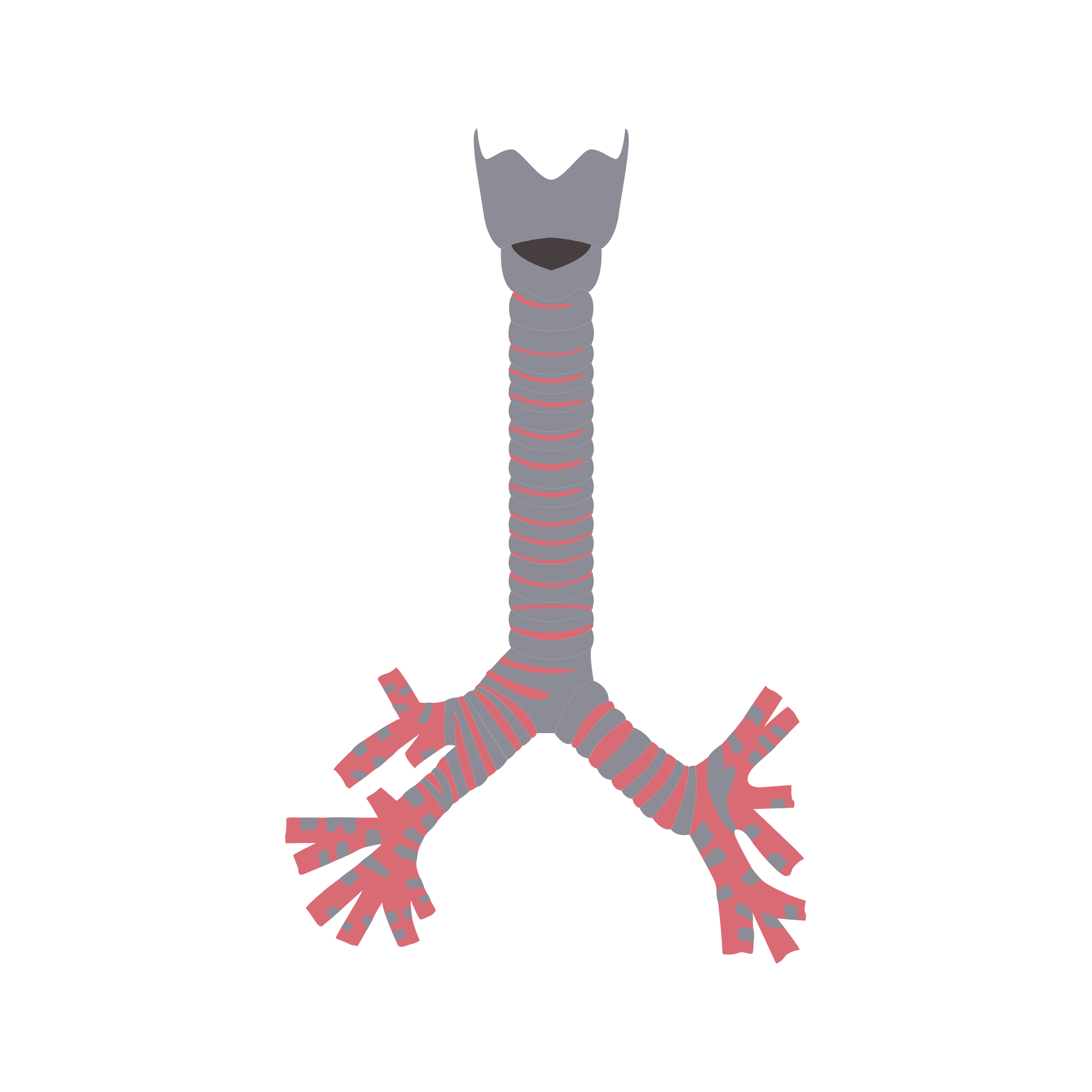 Tinktura na Plíce 50ml