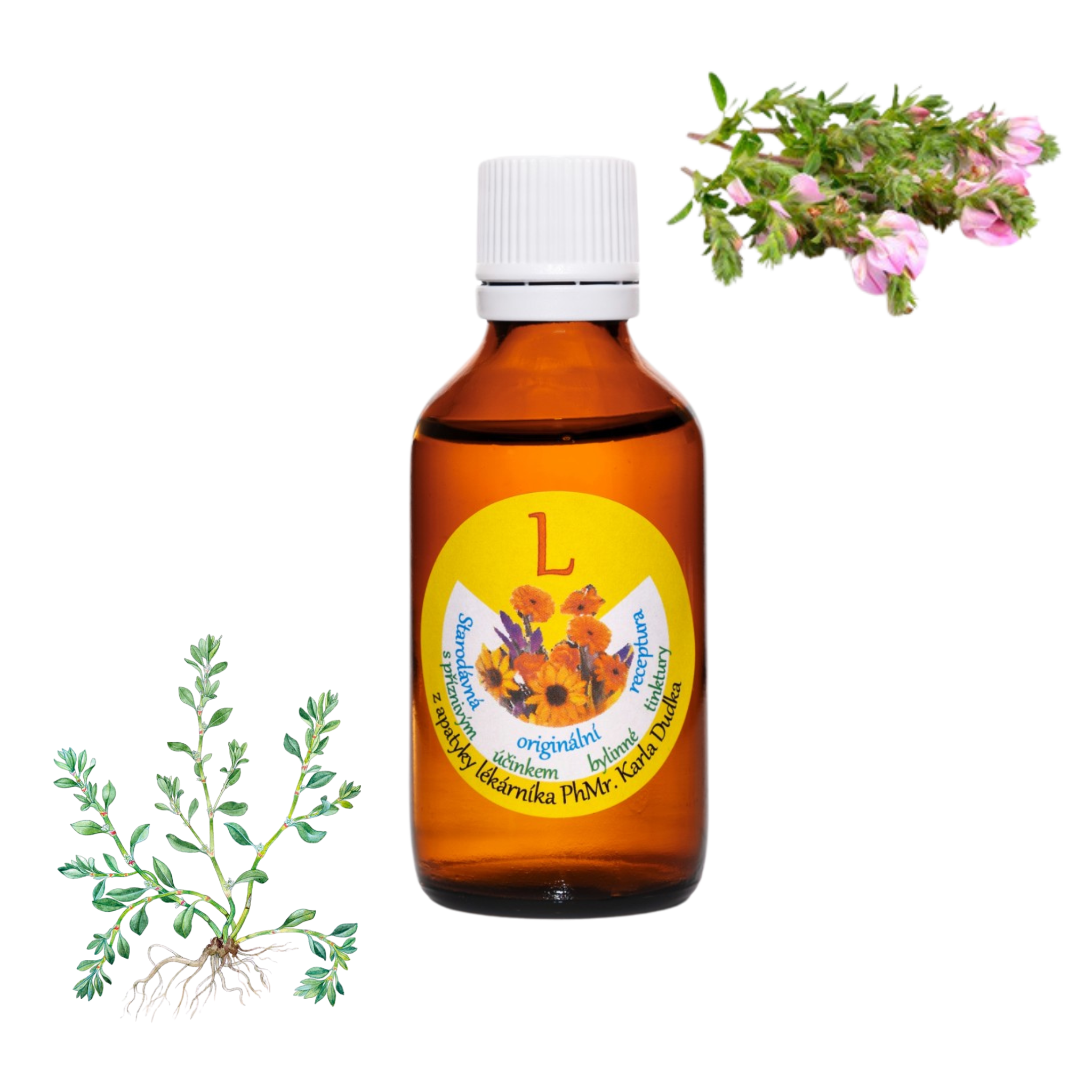 Tinktura na Ledviny 50ml