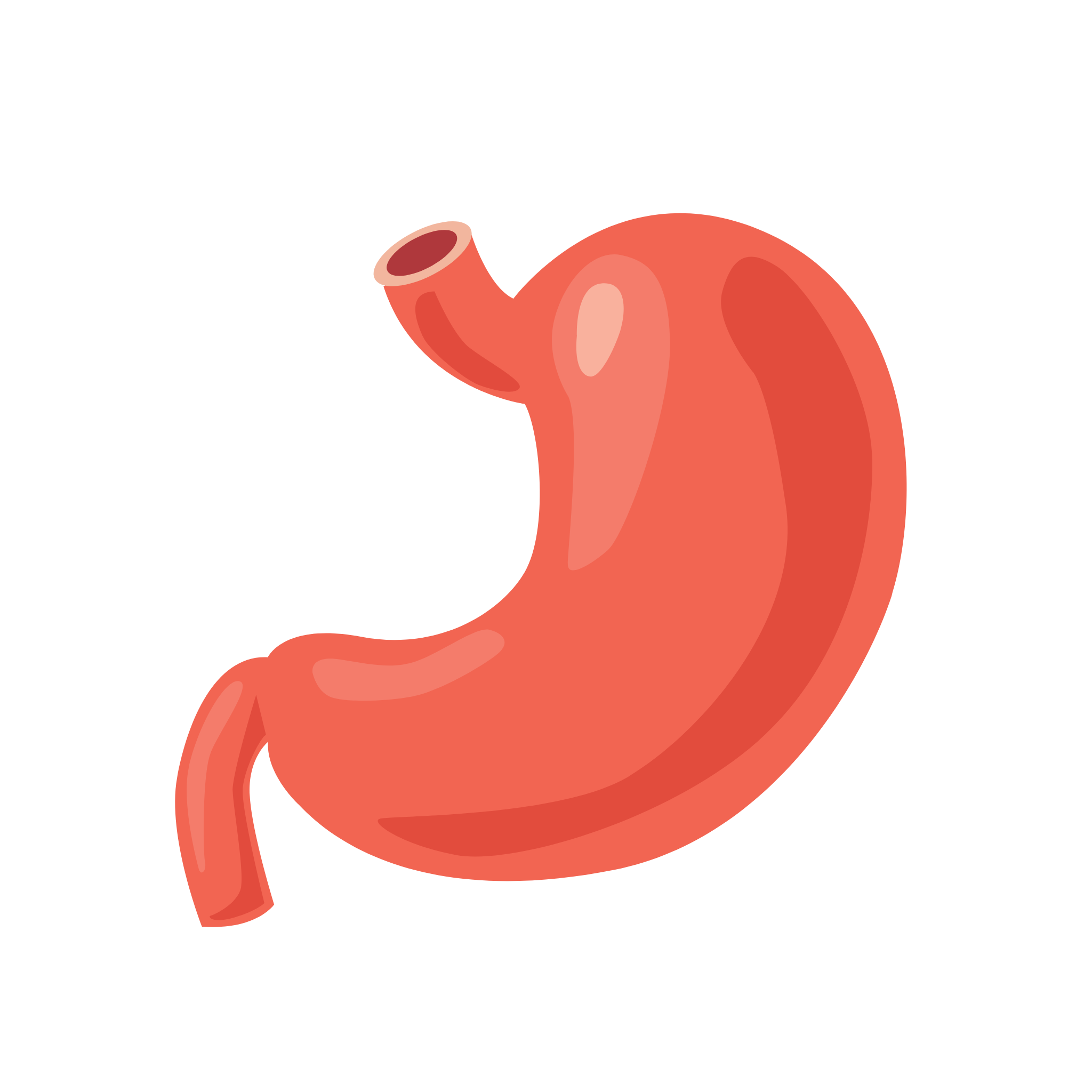 Tinktura na trávení 50ml