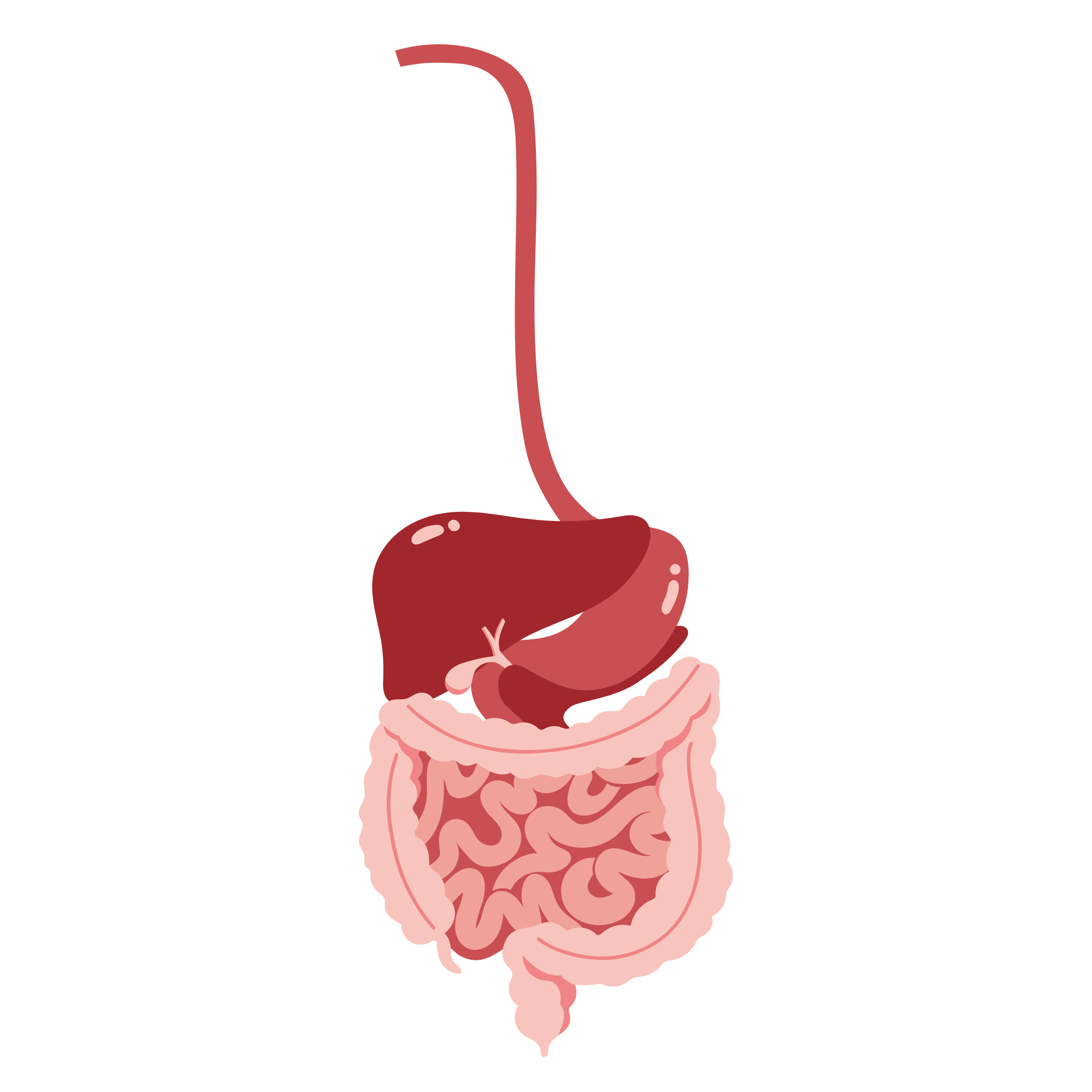 Tinktura na trávení 50ml