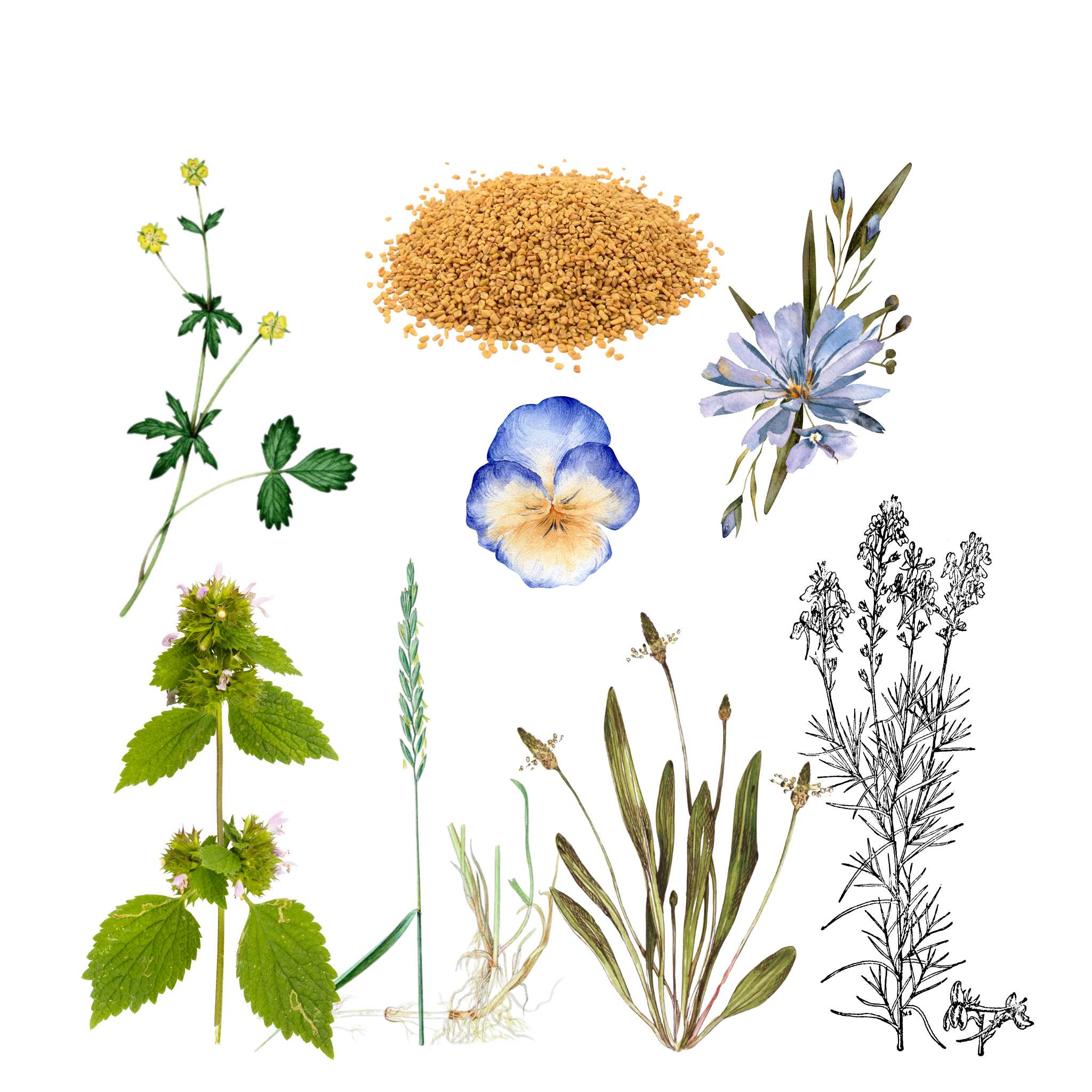 Kloubovka TRIPLE (2x Kloubovka 150ml + Kloubovka Active 50ml)