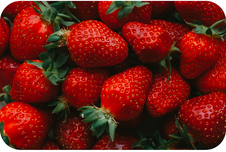 Vaporizer Veneno 94% HHC 1 ml