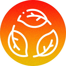 HHC Jelly 25mg - želé pomeranč