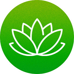 Cartridge Gorilla Glue 94% HHC 0,5 ml