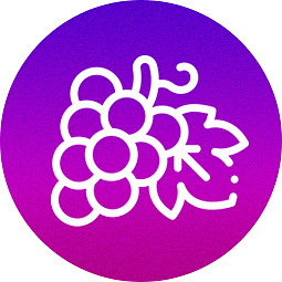 Cartridge Grape 94% HHC 0,5 ml