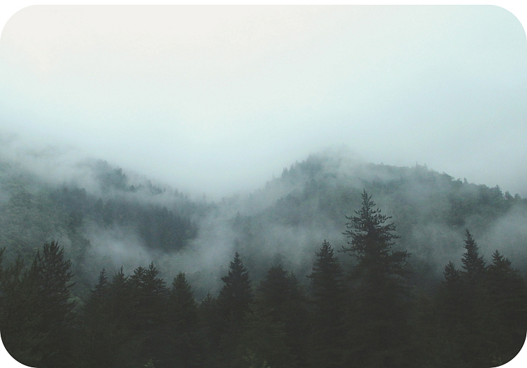 Cartridge Sour Diesel 94% HHC 0,5 ml