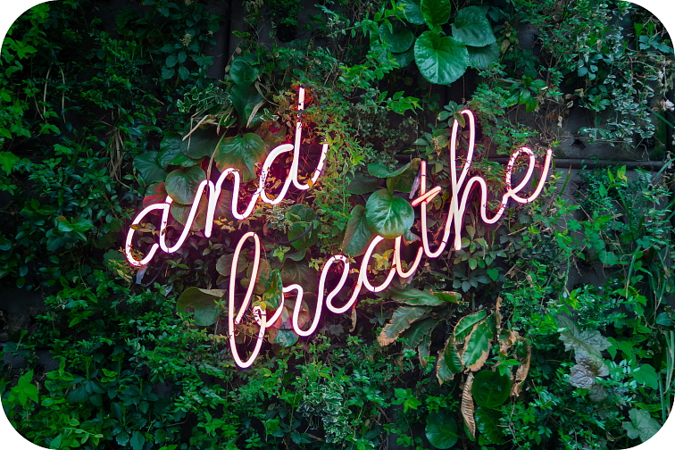 Cartridge Bubble Gum 94% HHC 0,5 ml