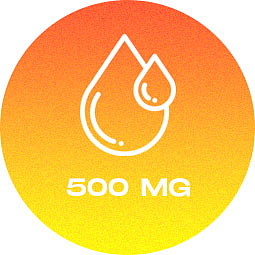 HHC Cookies s čoko kousky, 500 mg HHC