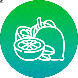 Cartridge Super Lemon Haze 94% HHC 1 ml