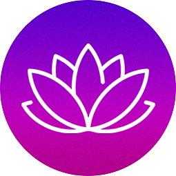 Cartridge Grape 94% HHC 0,5 ml