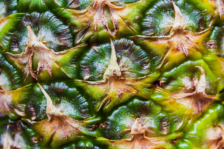 HHC BEAST PiňaColada 1 ml