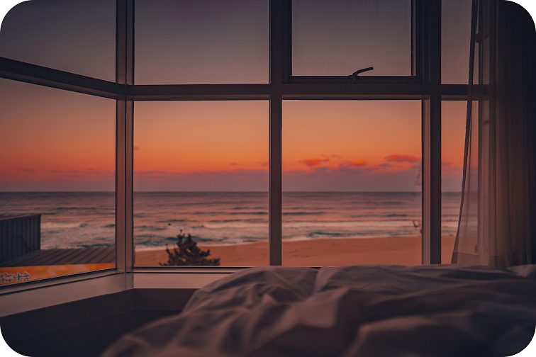 Cartridge Grape 94% HHC 0,5 ml