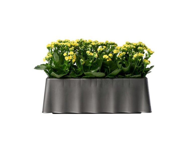 Samozavlažovací truhlík BREZZA, šalvěj