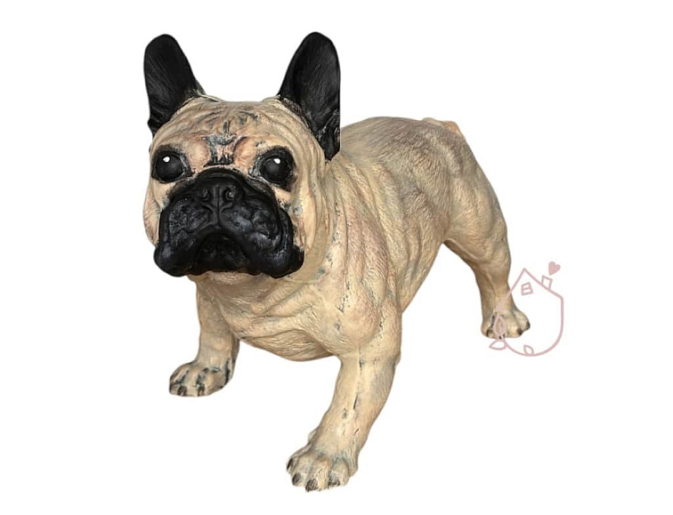 Francouzský buldoček Jeník