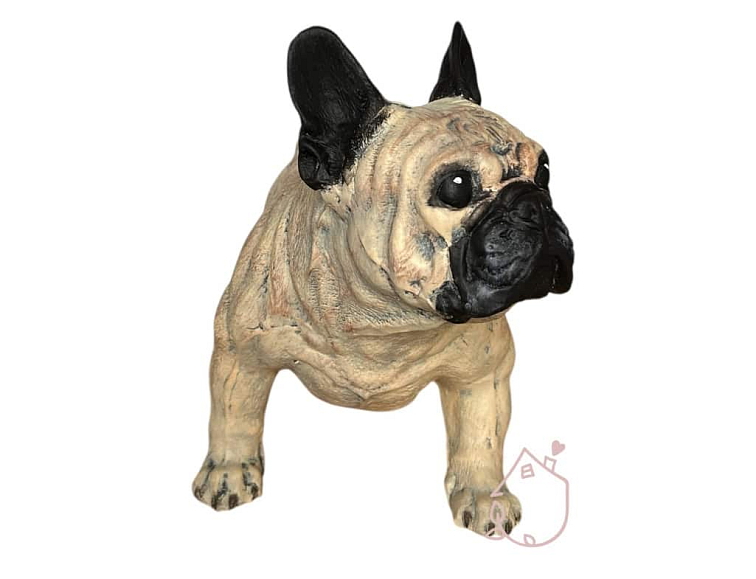 Francouzský buldoček Jeník