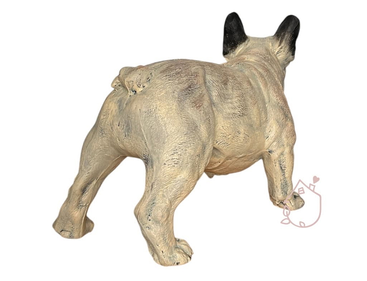 Francouzský buldoček Jeník