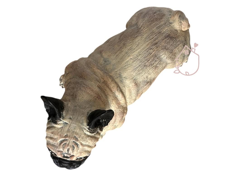 Francouzský buldoček Jeník