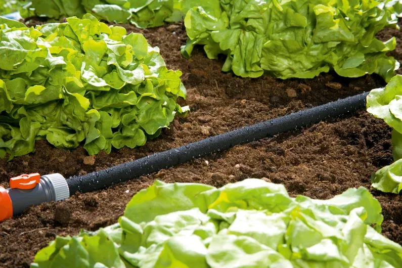 Průsakový zavlažovač, délka 15 m