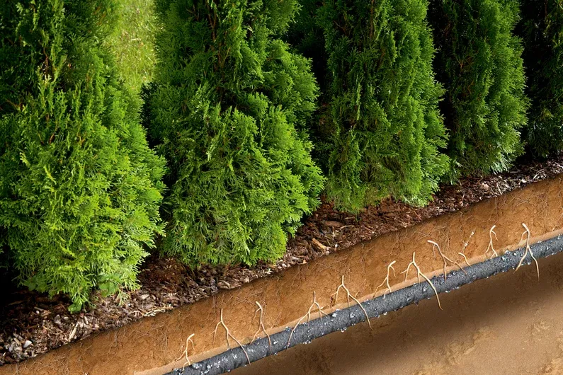 Průsakový zavlažovač, délka 15 m