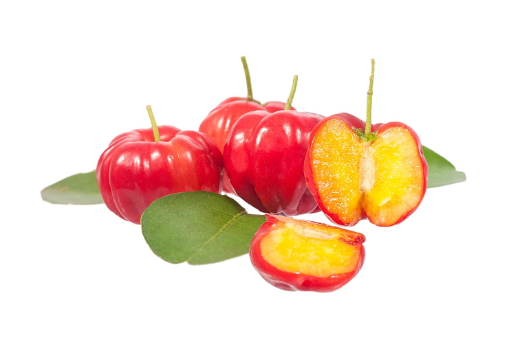 Frutcha Sample Pack - ochutnávkové balení 
