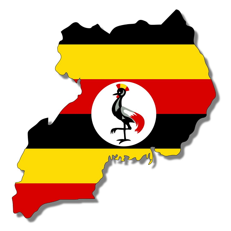 9 Grams Coffee Uganda Robusta CLEAN screen 18