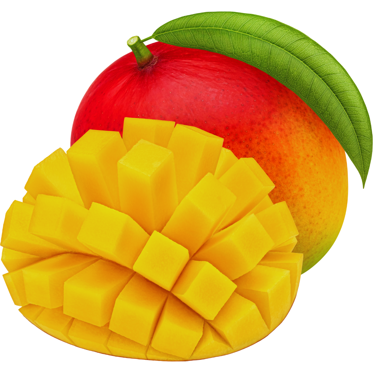 Tropical Summer ľadový čaj 100g