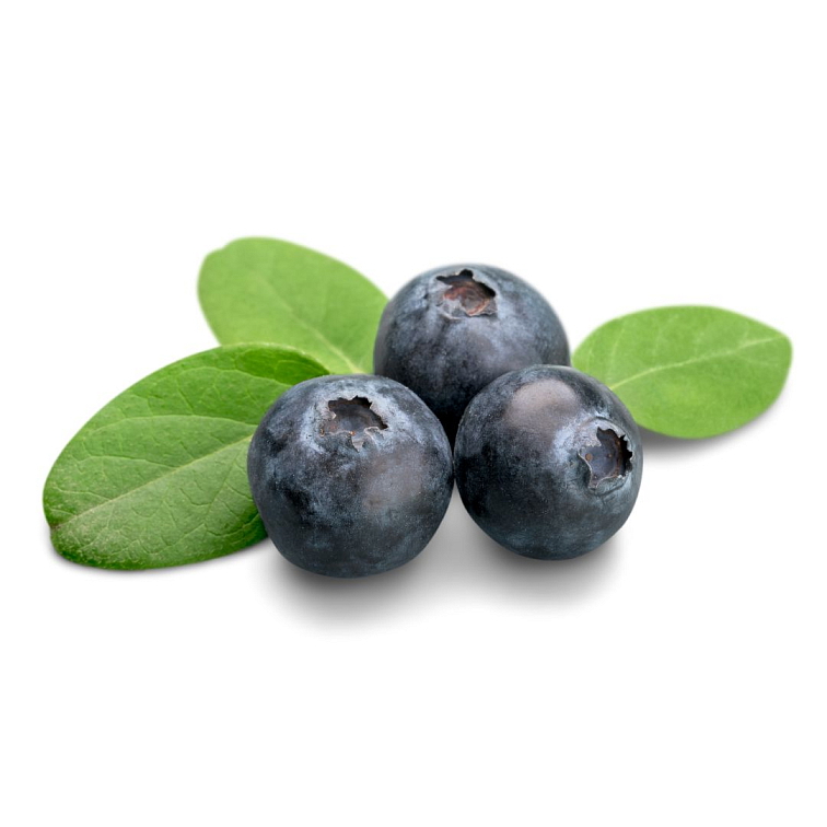 9 Grams Coffee Guatemala Remito washed