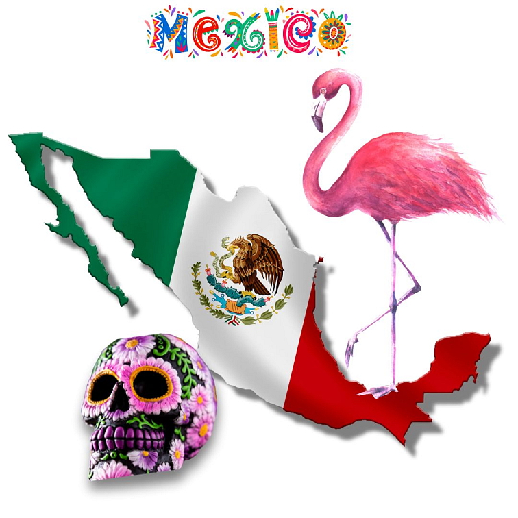 9 Grams Coffee Mexico Finca Flamenco Organic washed