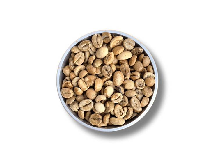 Zelená káva Uganda JUMBO washed- 1kg