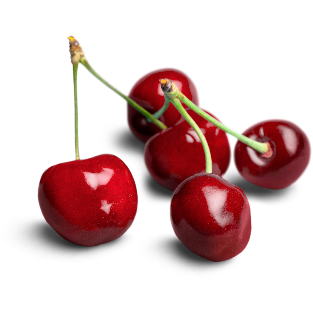 9 Grams Coffee Etiopia Djimah JASMINE natural