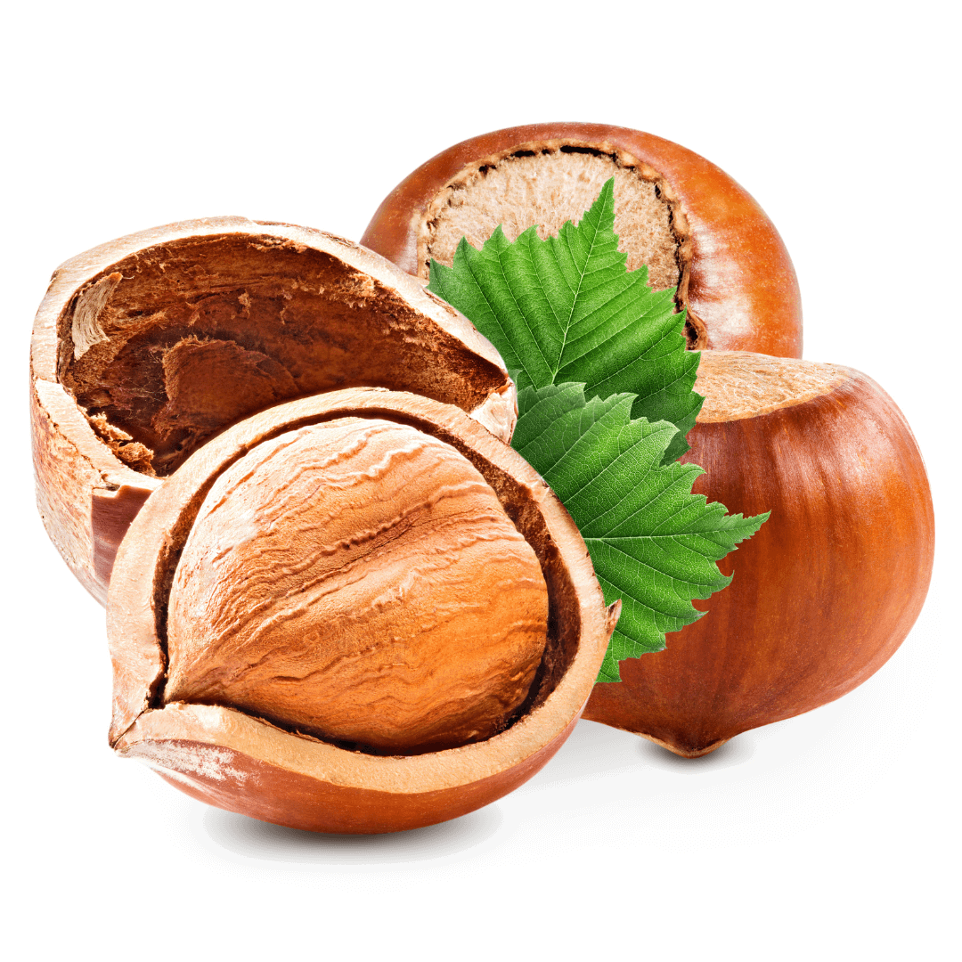 9 Grams Coffee Baristocrat blend